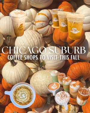 Image post by @explorechicago on TikTok