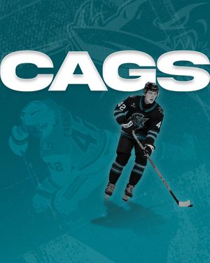 Image post by @sjbarracuda on Instagram