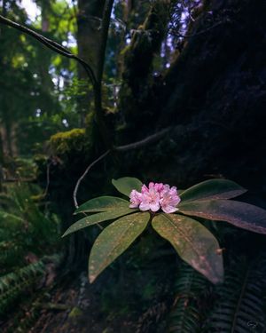 Image post by @amy.kennedy.photos on Instagram
