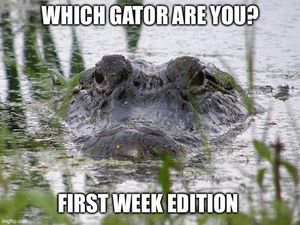 Image post by @barstoolflorida on Instagram