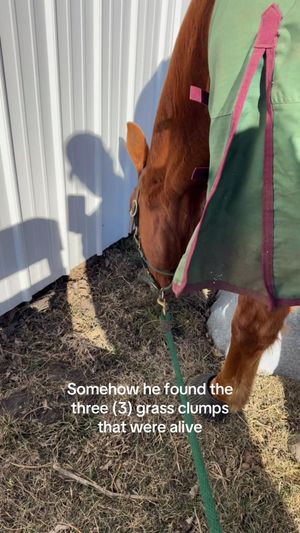 Video post by @kate.cassaidy on TikTok