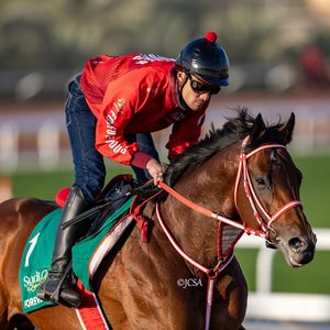 Image post by @thoroughbred_daily_news on Instagram