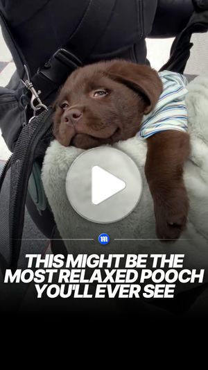 Image post by @dailymail on Instagram