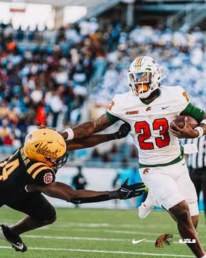 Image post by @famufb on Instagram