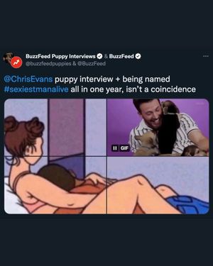 Image post by @buzzfeedpuppies on Instagram