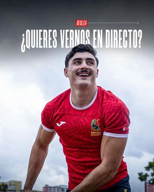Video post by @ferugby on TikTok