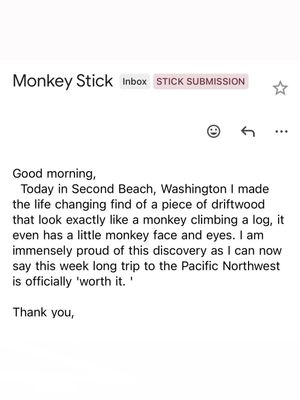 Image post by @officialstickreviews on Instagram
