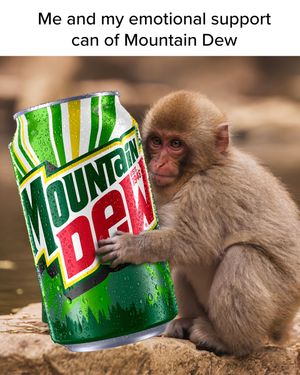 Image post by @mountaindew on Instagram
