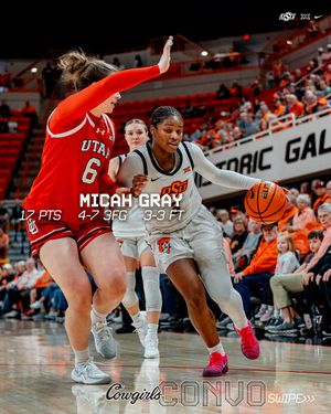 Image post by @osuwbb on Instagram