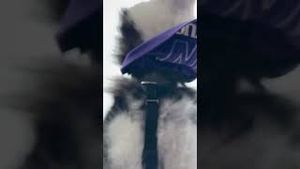 Video post by @uw_athletics on YouTube