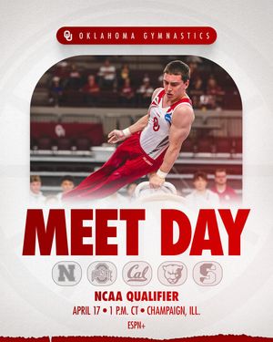 Image post by @ou_mgymnastics on Instagram
