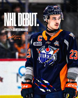 Image post by @FlintFirebirds on Twitter