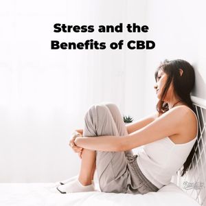Image post by @shopessentialswellness on Instagram