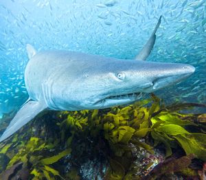 Image post by @gopro on Instagram