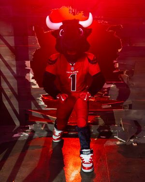 Image post by @texanstoro1 on Instagram