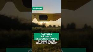 Video post by @laopinionla on YouTube