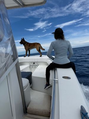 Image post by @caroladejesuss on Instagram