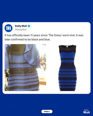 Image post by @dailymail on TikTok