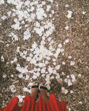 Image post by @mrkate on Instagram