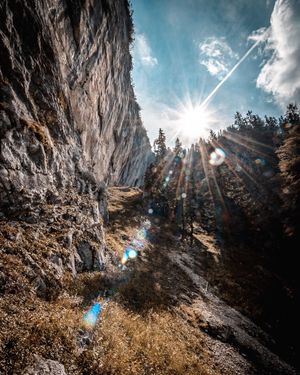 Image post by @cristan.nature.photography on Instagram