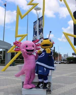 Image post by @thunderbugtbl on Instagram