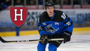 Image post by @LincolnStars on Twitter