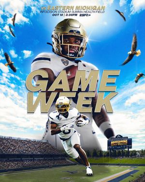 Image post by @zipsfb on Instagram