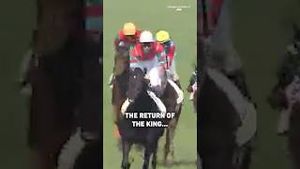 Video post by @worldhorseracing on YouTube