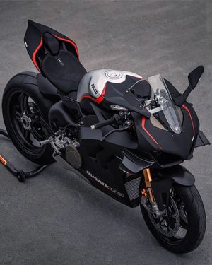 Image post by @panigalers on Instagram