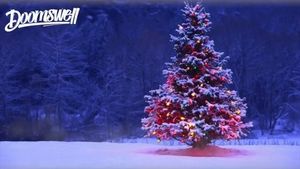 Video post by @MuskokaBoatGallery on Facebook