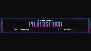 Video post by @pilotostrich on YouTube