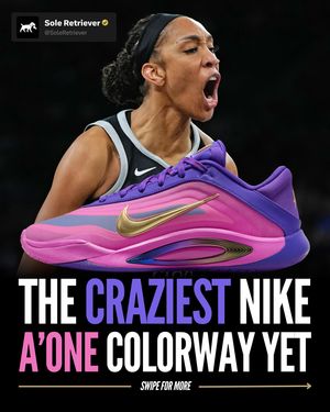 Image post by @soleretriever on Instagram