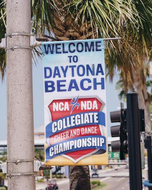 Image post by @sfa_cheer_ on Instagram