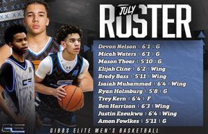 Image post by @gibbselitehoops on Instagram