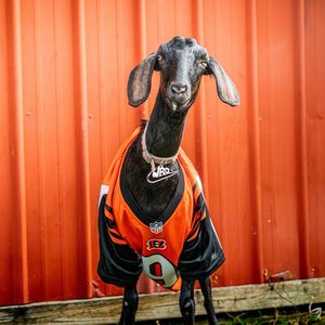 Image post by @great_parks on Instagram