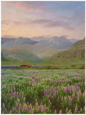 Image post by @alexkittoephotos on Instagram