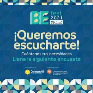 Image post by @befestpr on Instagram
