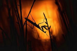 Image post by @sony.deutschland.at on Instagram