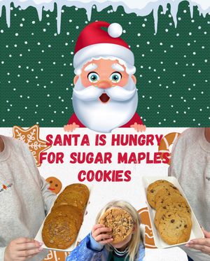 Image post by @sugarmapleswv on Instagram