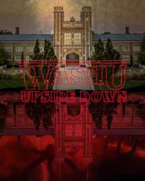 Image post by @washu on Instagram