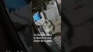 Video post by @nmasunivision on YouTube