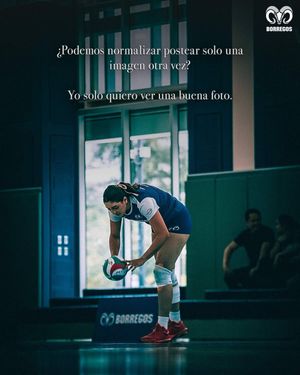 Image post by @borregostec on Instagram