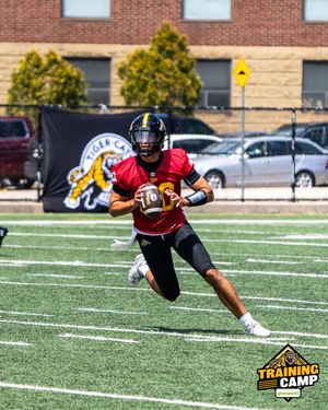 Image post by @hamiltontigercats on Instagram