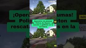 Video post by @laopinionla on YouTube