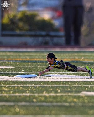 Image post by @oaklandspiders on Instagram