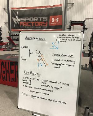 Image post by @arenasportsfactory on Instagram
