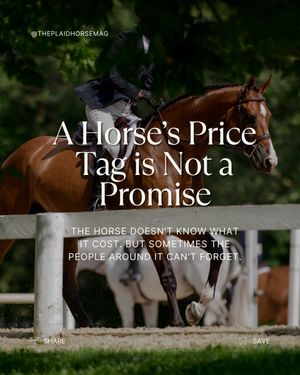 Image post by @theplaidhorsemag on Instagram