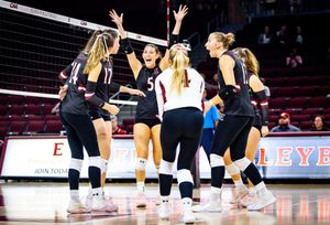 Image post by @elonvb on Instagram
