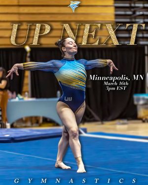 Image post by @liuwgymnastics on Instagram