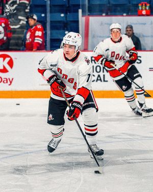 Image post by @ohlicedogs on Instagram